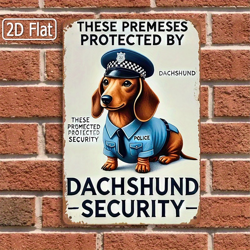 2D Flat, [2D Flat] 1-Piece Fun - Home Yard Security 评论和价格