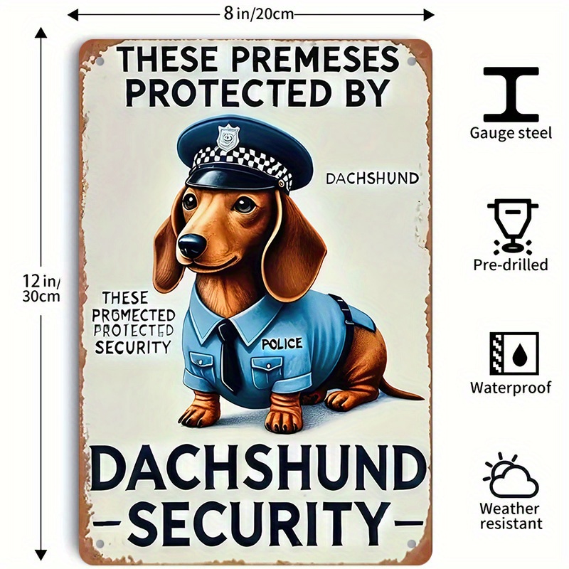2D Flat, [2D Flat] 1-Piece Fun - Home Yard Security 评论和价格