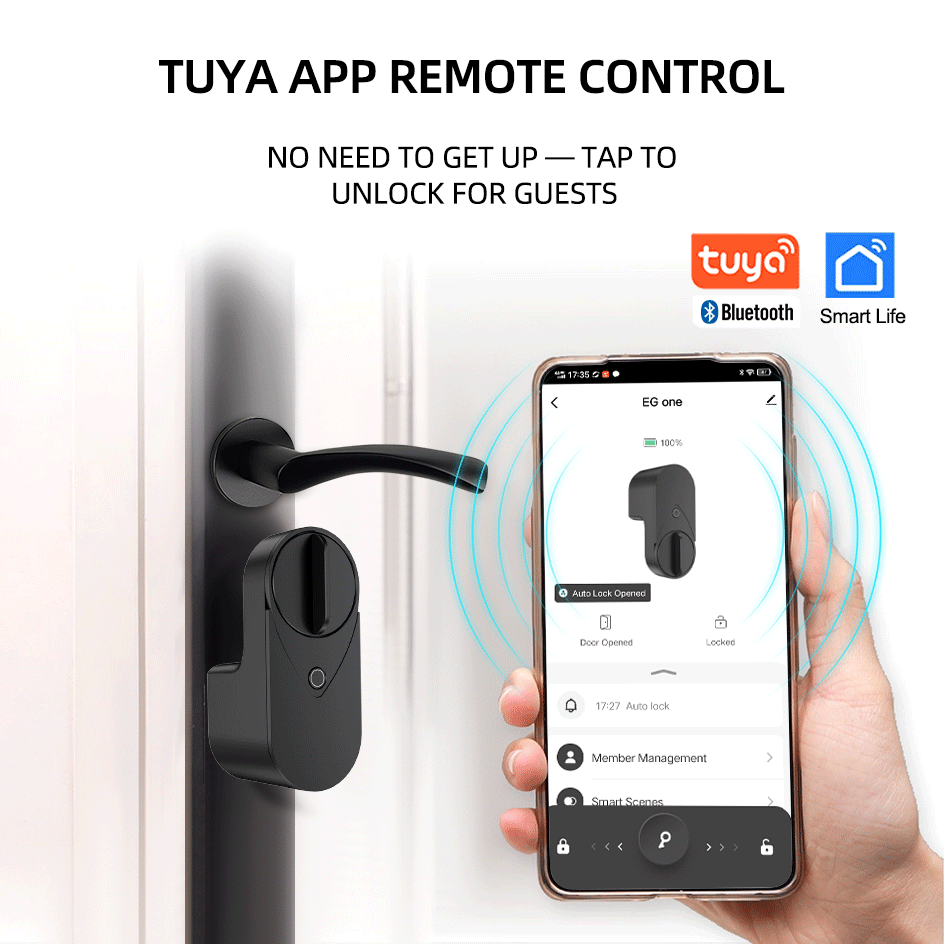 RAYKUBE EG One Tuya BLE Smart  - Home Security For Apartments 评论和价格